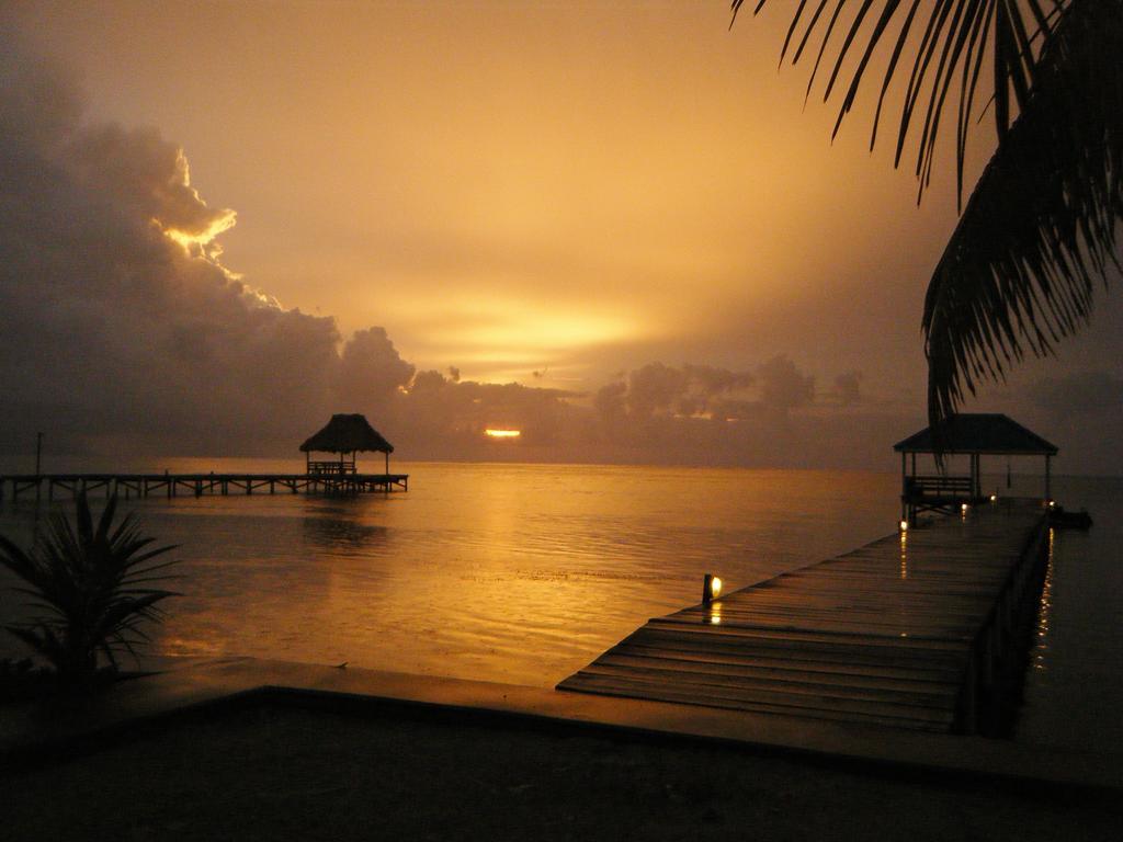 Cocotal Inn And Cabanas San Pedro  Eksteriør bilde