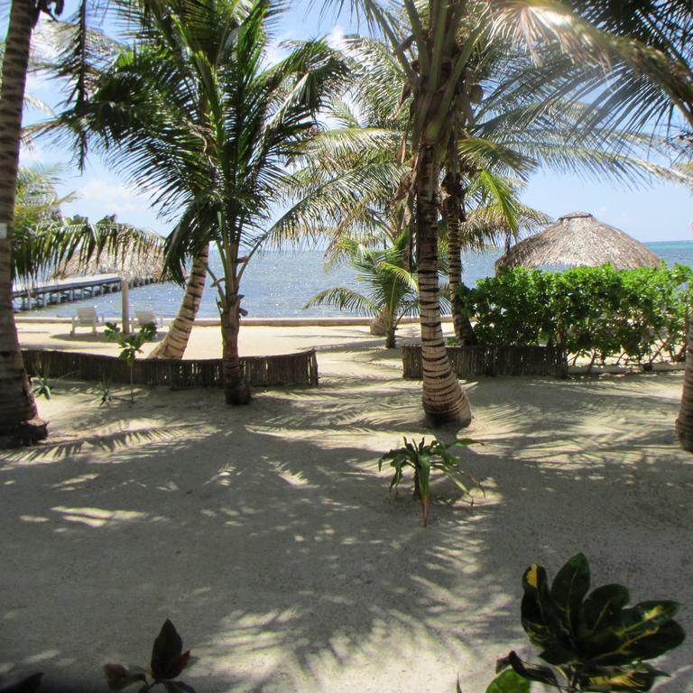 Cocotal Inn And Cabanas San Pedro  Eksteriør bilde